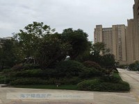 其它图