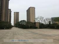 东方都市，500万，低价了 东方都市