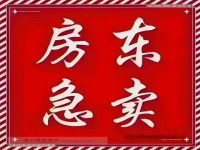 亏本急售市中心 华鸿原墅中叠边套带双车位 华鸿原墅