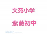 城南鸿樾府商品房 双阳台 南北通透带车位 鸿樾府