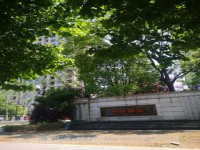 中梁一号院 赠送面积多 二年到洋房诚心卖 中梁一号院