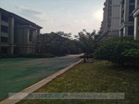 其它图