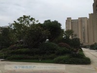 其它图