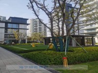 其它图