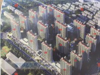 荷叶府 带汽车位 厅通阳台 诚心卖 荷叶府