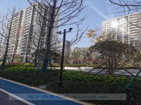 其它图